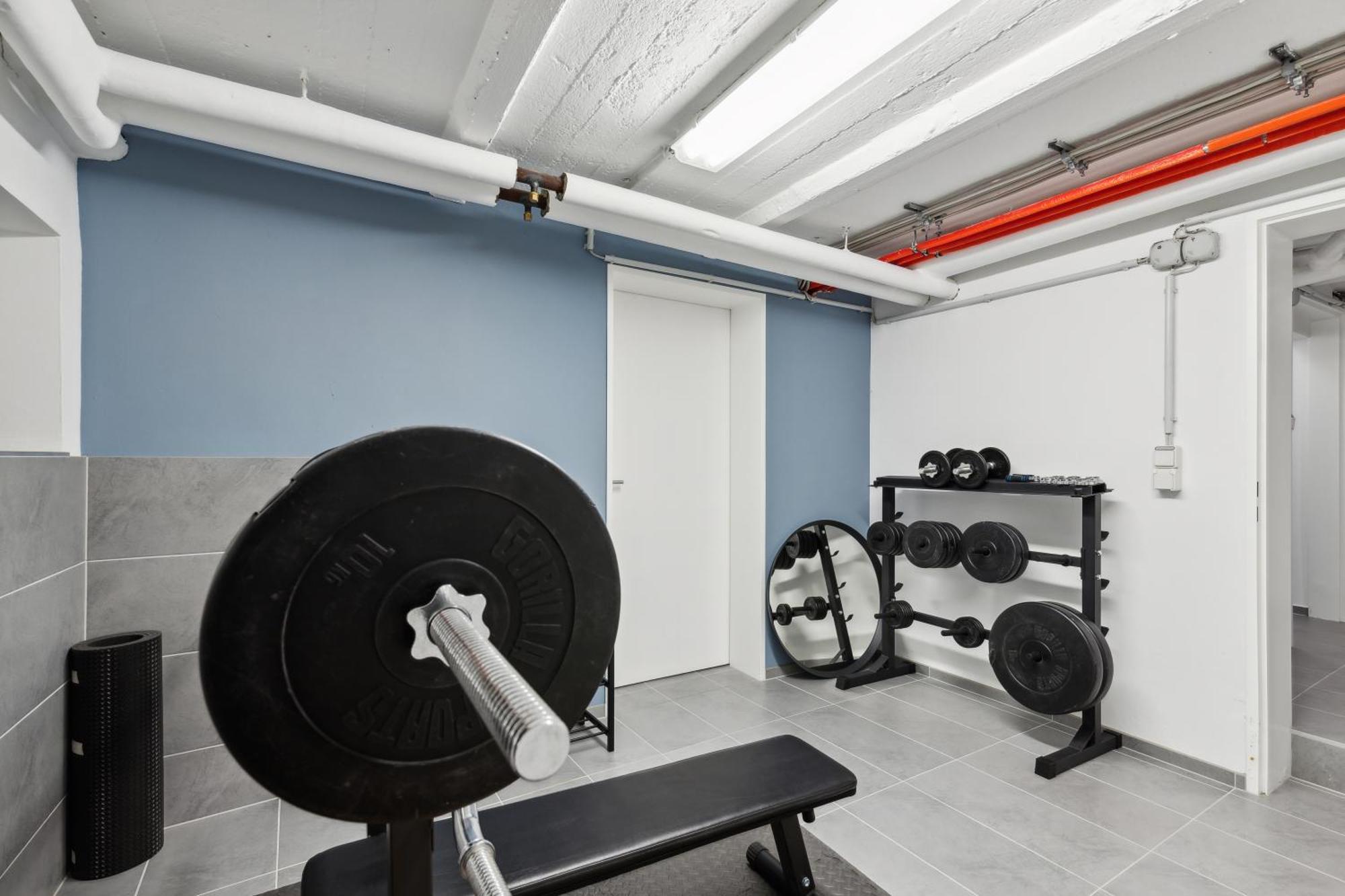 Modern Living - Basf - Ma - Pfalz - 1 Gym 2 Working Spaces Ludwigshafen am Rhein Eksteriør bilde